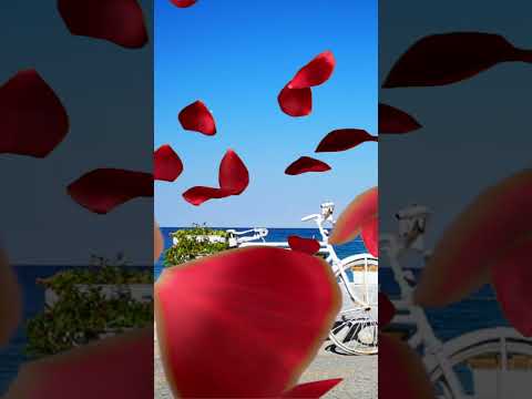 🇬🇷 KATERINI Greece | Exotic beaches & top places | Travel Guide | Platamon | Olympus riviera