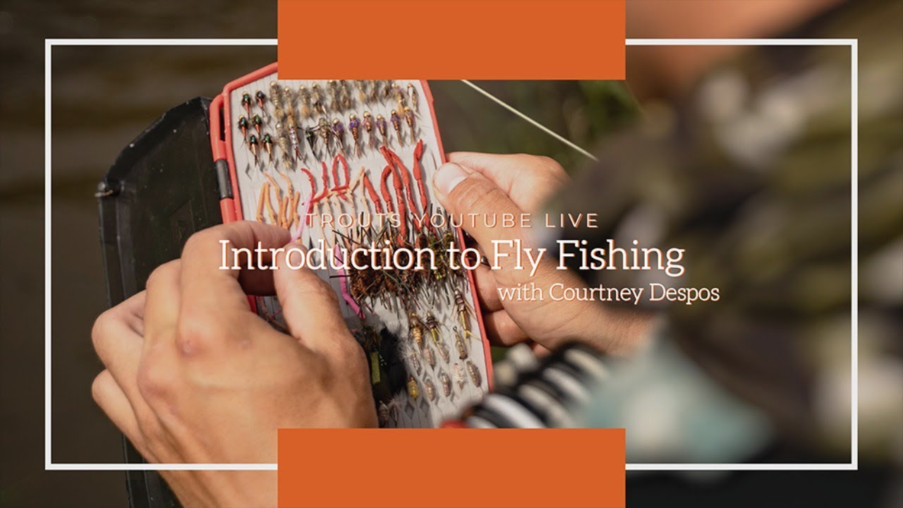 can you catch fish on lures at night 5 Good Night Bass Fishing Lures