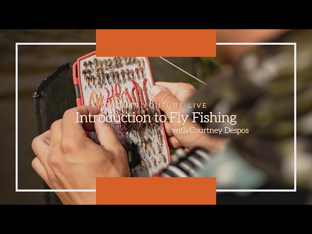 Trouts Live  Introduction to Fly Fishing with Courtney Despos 