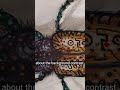 Acrylic Art Repairs Shop #art #arttutorial #artist #acrylicpainting #howtodraw #insectart