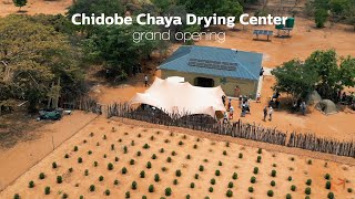 Chidobe Chaya Center