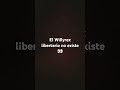El Willyrex libertario no existe