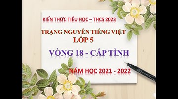 Trạng nguyên Tiếng Việt Cấp Tỉnh Lớp 5 Vòng 18 - Năm học 2021-2022