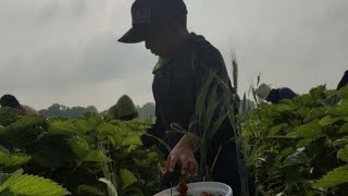 GLOBALink | Figures unveil serious problems of human trafficking, forced labor in U.S.