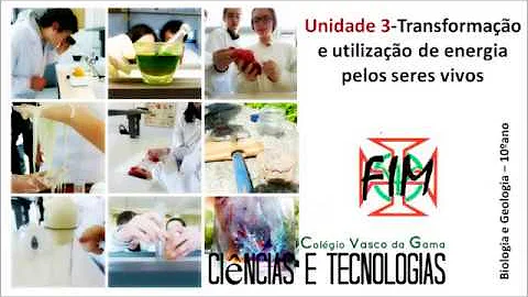 Fazem parte dos metabólitos secundários moléculas como?