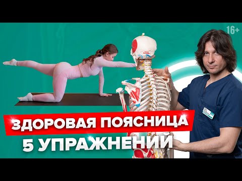 5 лучших УПРАЖНЕНИЙ, чтобы не болела ПОЯСНИЦА. Упражнения для поясницы.