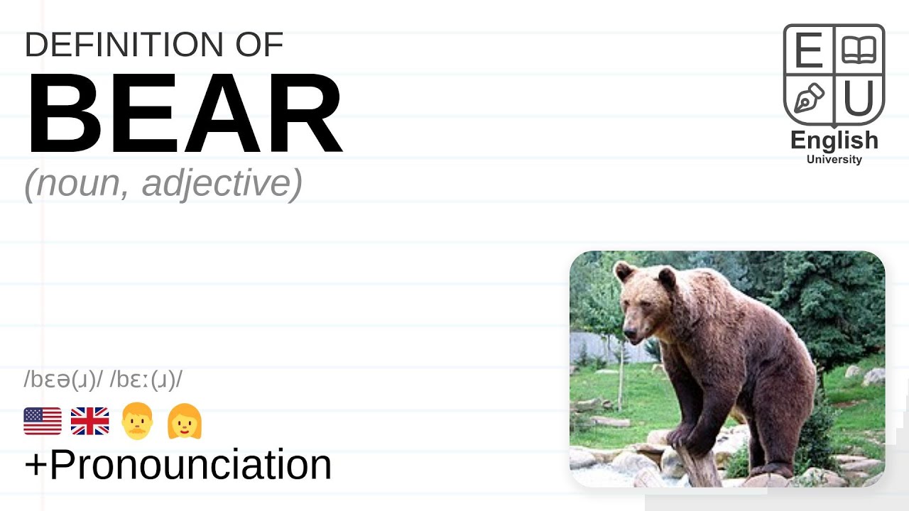 BEAR definition in American English
