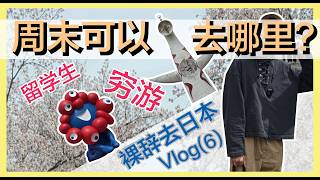 how Do We Spend Our Weekend In Japan With A Limited Budget As A Student