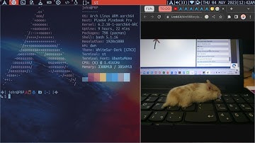 How to Enable *Basic* Touchpad Palm Detection on DWM Xorg (Off topic to Mass Effect/Xbox 360)