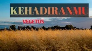 KEHADIRANMU - VEGETOS || Cover by Ines                  ( lirik )