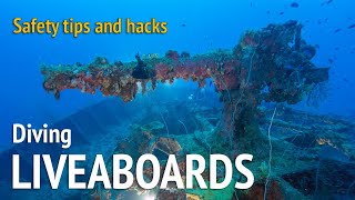 Liveaboard Scuba Diving Tips and Hacks
