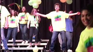 TZHS 2017 Concert