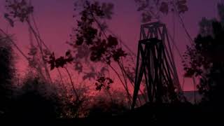 Dove Doll Ver. - Antihoney Lyrics