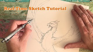 How to Draw a Phoenix - My Creature Design Process