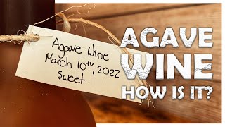 Wine from Agave Syrup | The Results