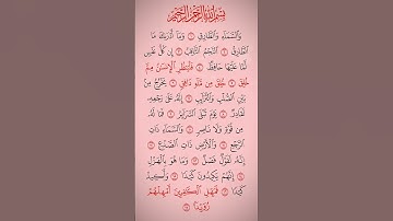 سعد الغامدي سورة الطارق #سعد_الغامدي #القرآن_الكريم