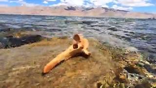 Tso Moriri lake.