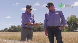 Nutrient Advantage Grain Testing