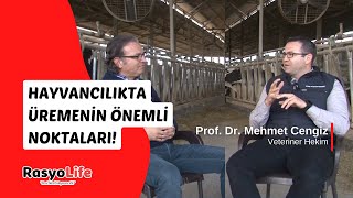 Hayvancılıkta Üremenin Önemli Noktaları! (Prof. Dr. Mehmet Cengiz)