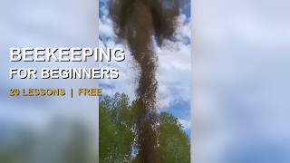 Complete Beekeeping Course for Beginners | 20 Lessons, Full Year