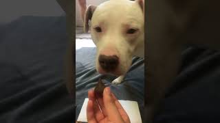 I Miss Him Rn So Much