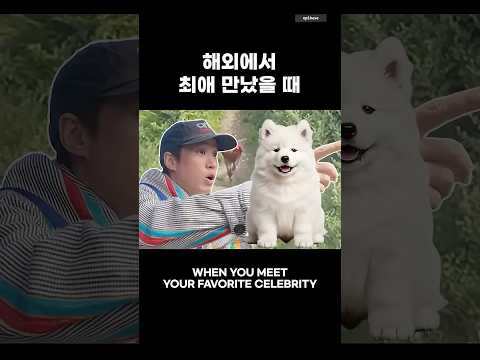 우연도 3번이면 인연이랬다… #epikase #에픽카세 #<strong>epikhigh</strong> #에픽하이 #favorite