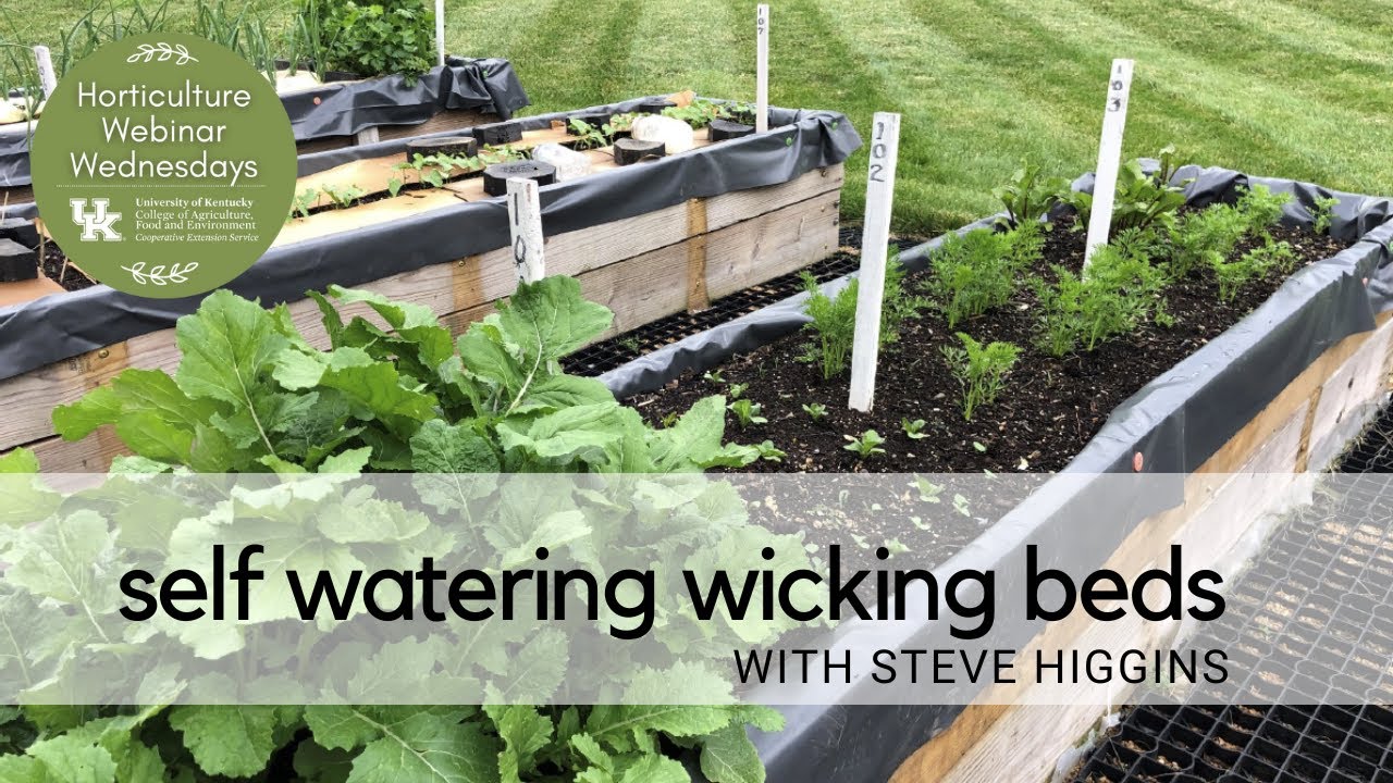 Самополивающаяся грядка с влагоотводом