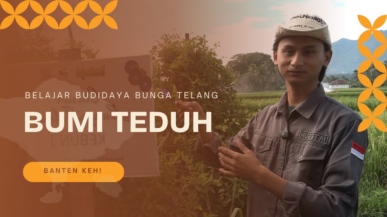 Bumi Teduh Ubah Wajah Pertanian Desa Jadi Inspirasi Dunia