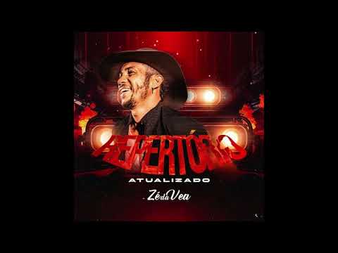 ZÉ DA VEA - REPERTORIO NOVO PRA PAREDÃO 2K26 DEIVINHO GRAVAÇÕES