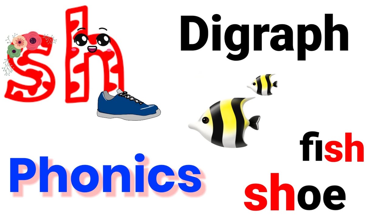 Digraph SH | Lets Have Fun with the Digraph SH (Sound and Words ...