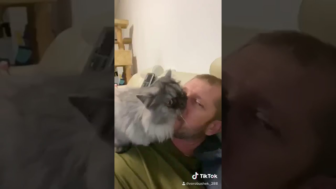 никто тебя не любит так как я! YouTube