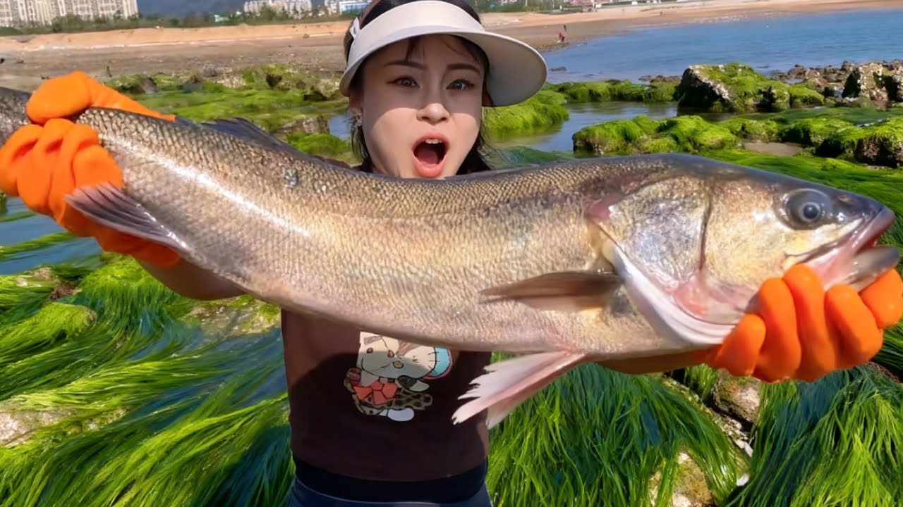 Xiao Zhang Discovered A Meter-Long Fish While Beachcombing, And Even A Lobster Nest!