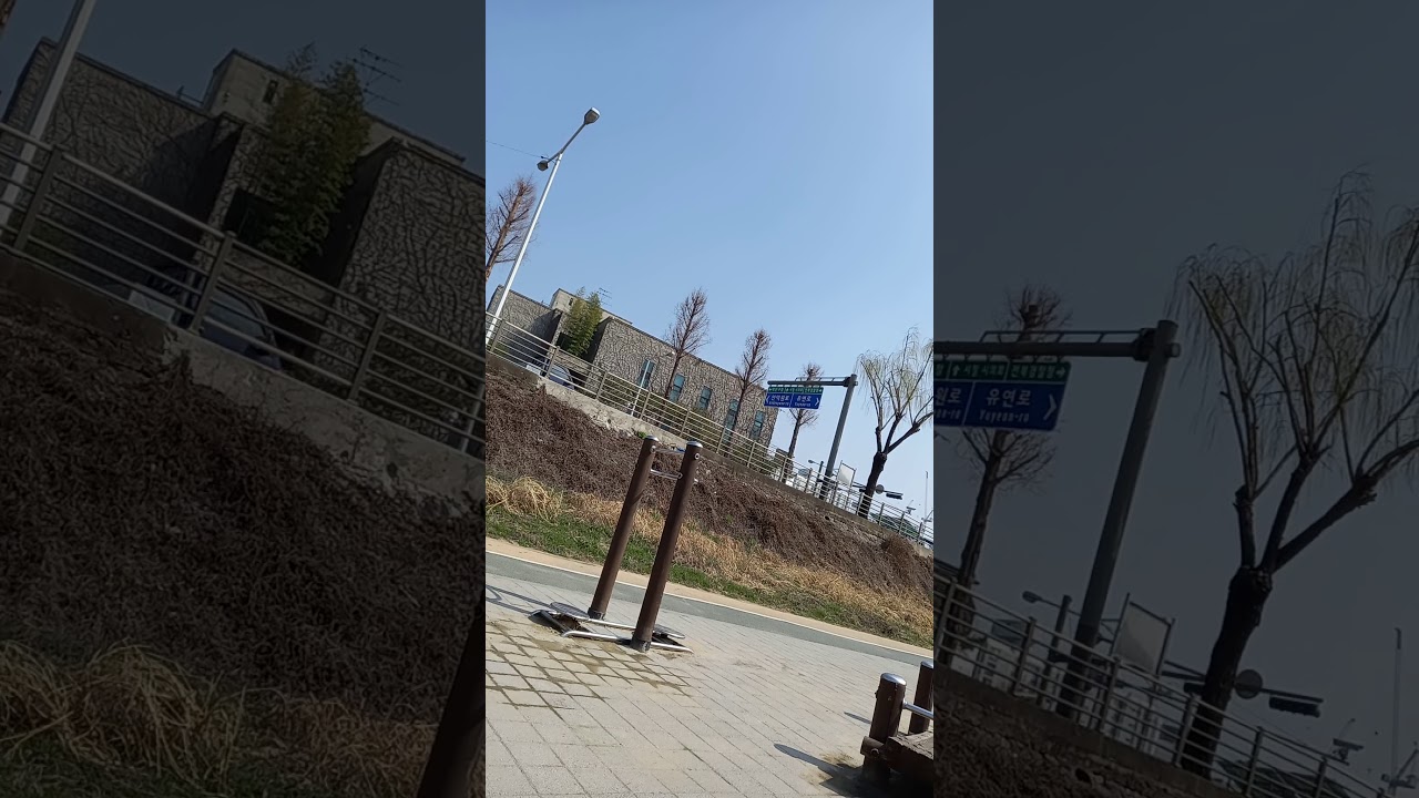 꽃가마타고가네         하모니카김미향  2021년 3월 8일