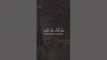 سورة البقرة آية ( 243 )