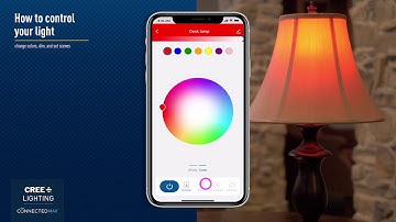 Connected Max: How to Control Your Light