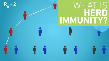 What is Herd Immunity?