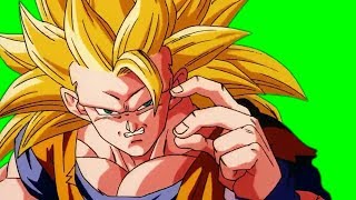 GOKU SS3 Green Screen