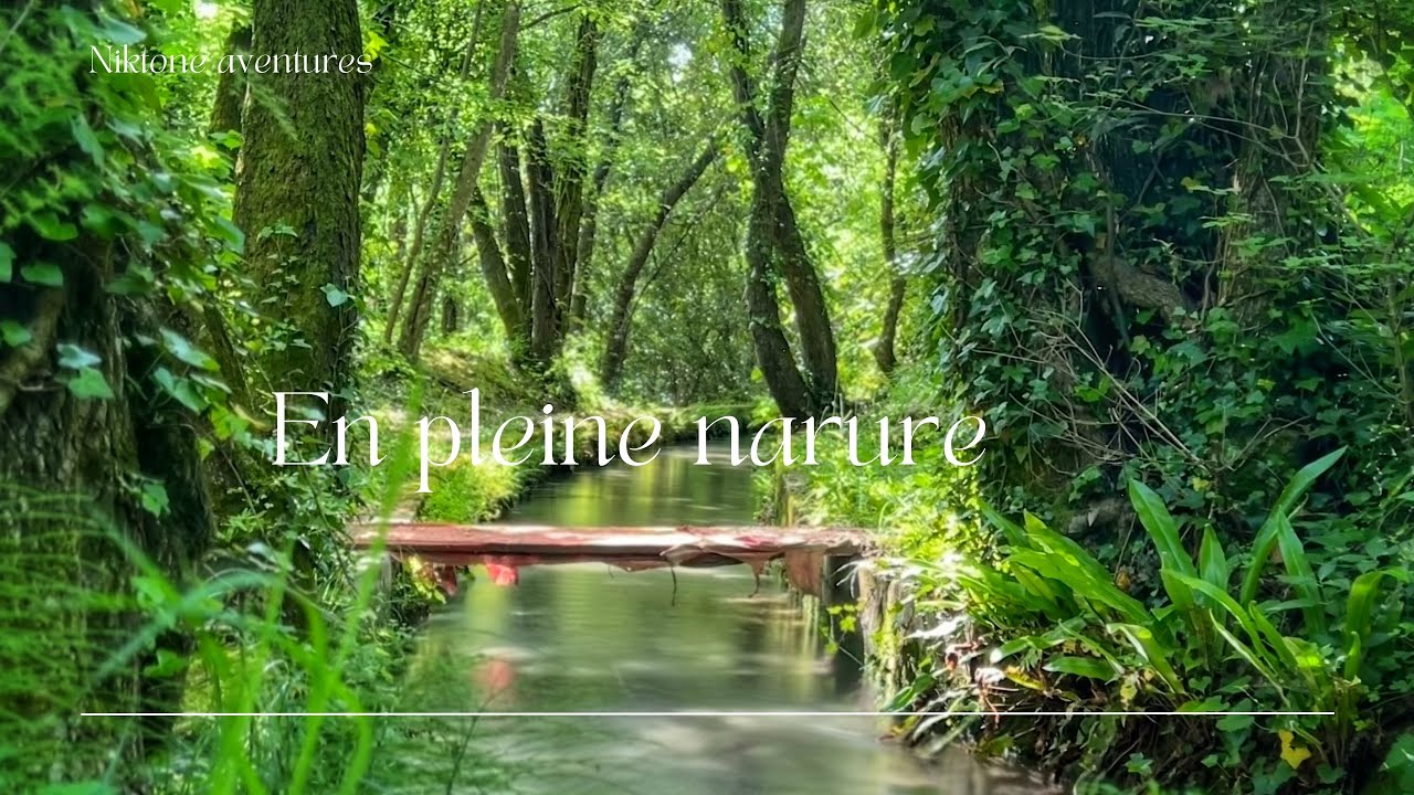 Excursion autour du canal du loup
