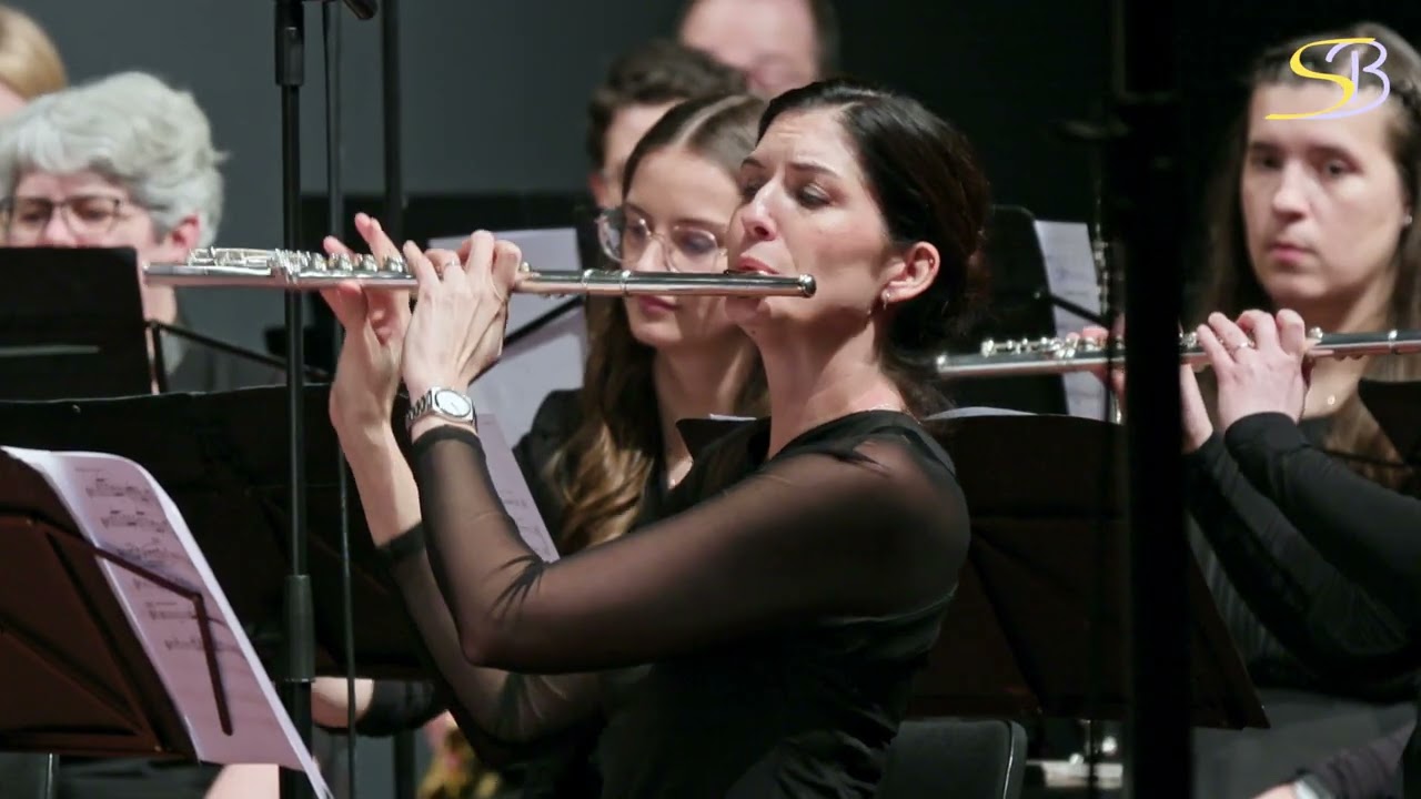 The Lord of the Rings - Symphony No. 1 - Johan de Meij - Schwäbische Bläserphilharmonie - Paul Jacot