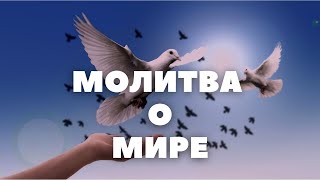 ЧТО ВЫ ДЕЛАЕТЕ?! ОСТАНОВИТЕСЬ! МОЛИТВА О МИРЕ БЕЗ ВОЙНЫ прп. Силуана Афонского