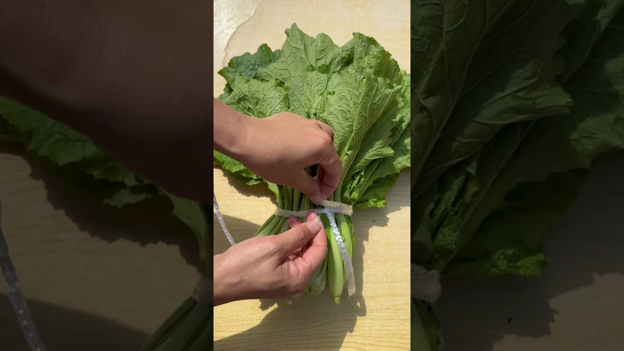 古人流傳下來的捆菜方法太有智慧了,簡單易學非常實用
