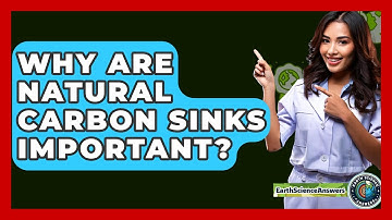 Why Are Natural Carbon Sinks Important? - Earth Science Answers