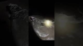 TikTok’s to prove mermaids exist. #shortsvideo #cryptids #mermaid #creepy