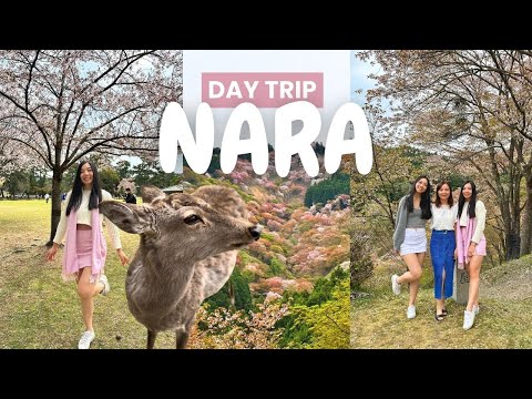 Things to do in NARA, JAPAN | cherry blossoms, nara deer park, viral mochi pounding (JAPAN VLOG)