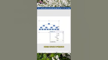 原来制作组织架构图这么简单#办公技巧 #每天学习一点点 #职场 #干货分享 #word