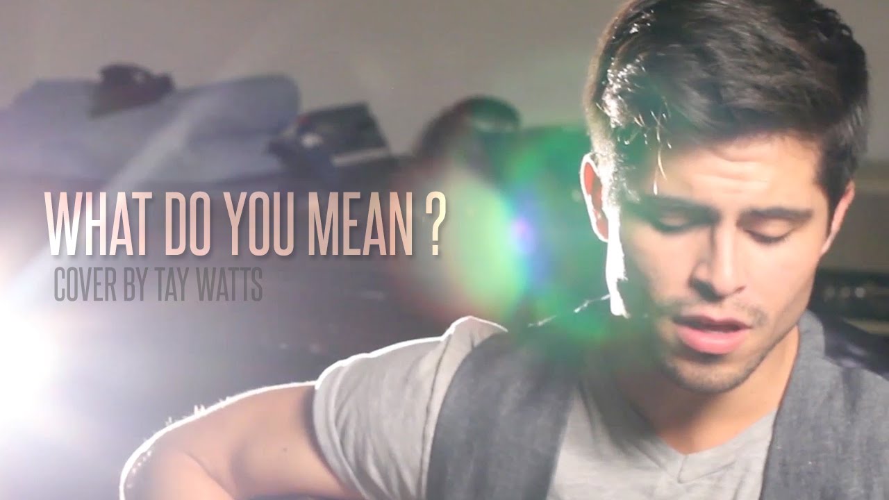 Justin Bieber What Do You Mean (Acoustic Cover by Tay Watts
