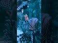 Corto Animales que no duermen