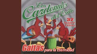 Video thumbnail of "Cardenales del Exito - Fiesta Decembrina"