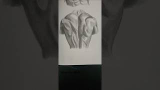 *DAY 30* Drawing of the Day (Muscular Back) | Category: Body Parts *DAY 30* Drawing of the Day (Muscular Back) | Category: Body Parts