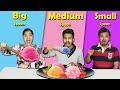 Big vs medium vs small spoon food challenge  hungry birds